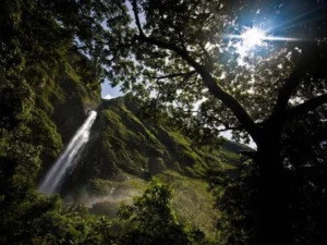 Cachoeira Casca D'Anta de 186m do Rio São Francisco na Serra da Canastra